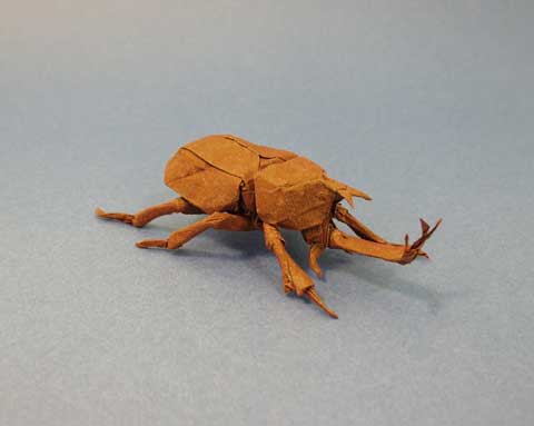 Samurai Helmet Beetle