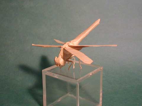 Dragonfly 1.1B