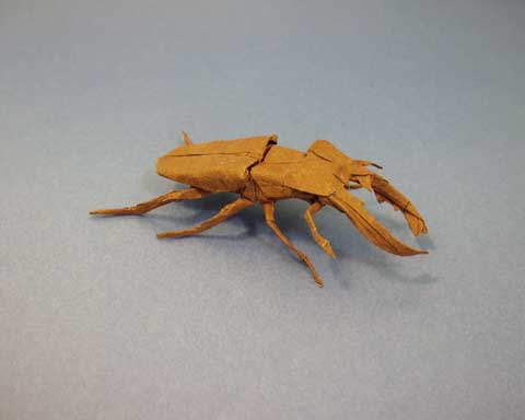 Stag Beetle 1.2