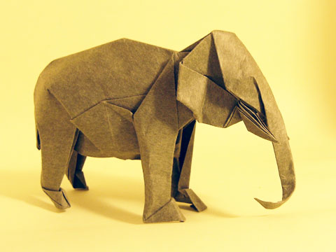 Asiatic Elephant