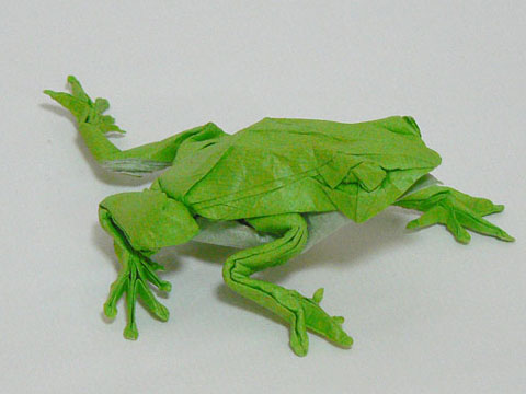 Japanese Tree Frog