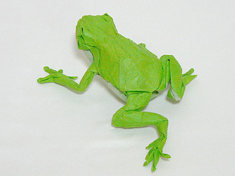 frog2