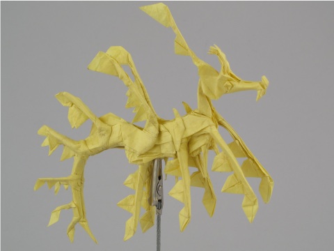 Leafy Sea Dragon 