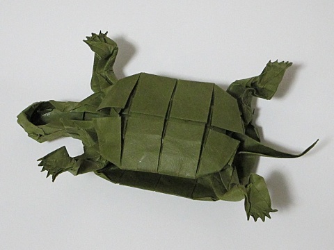 カメ Turtle