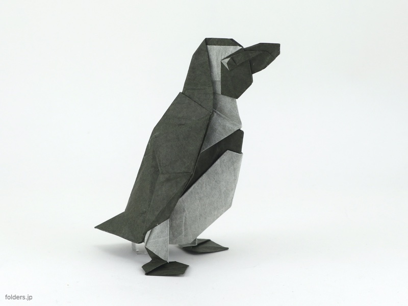 African Penguin